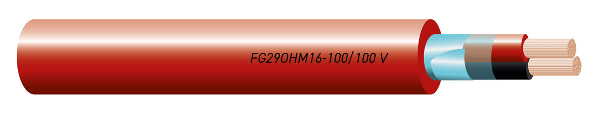 FG29OHM16 Cable